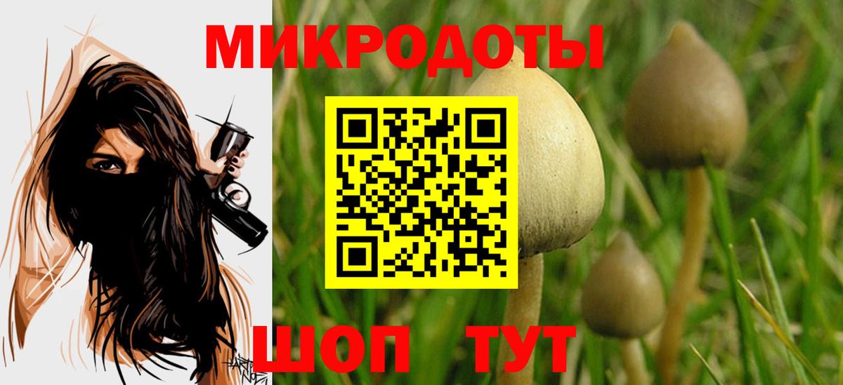 Псилоцибиновые грибы мухоморы Котовск